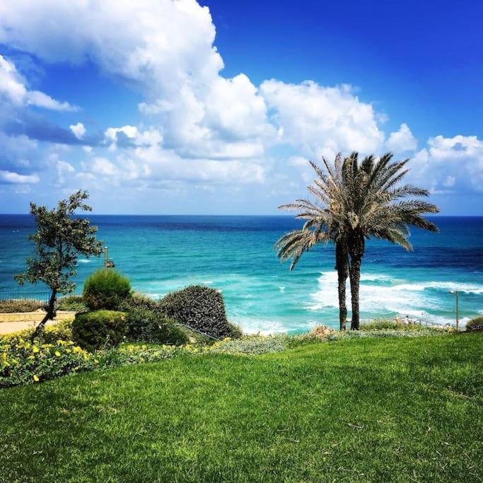 Royal Aparatment On The Sea , Blvd Nitza 34 Netanya Eksteriør bilde